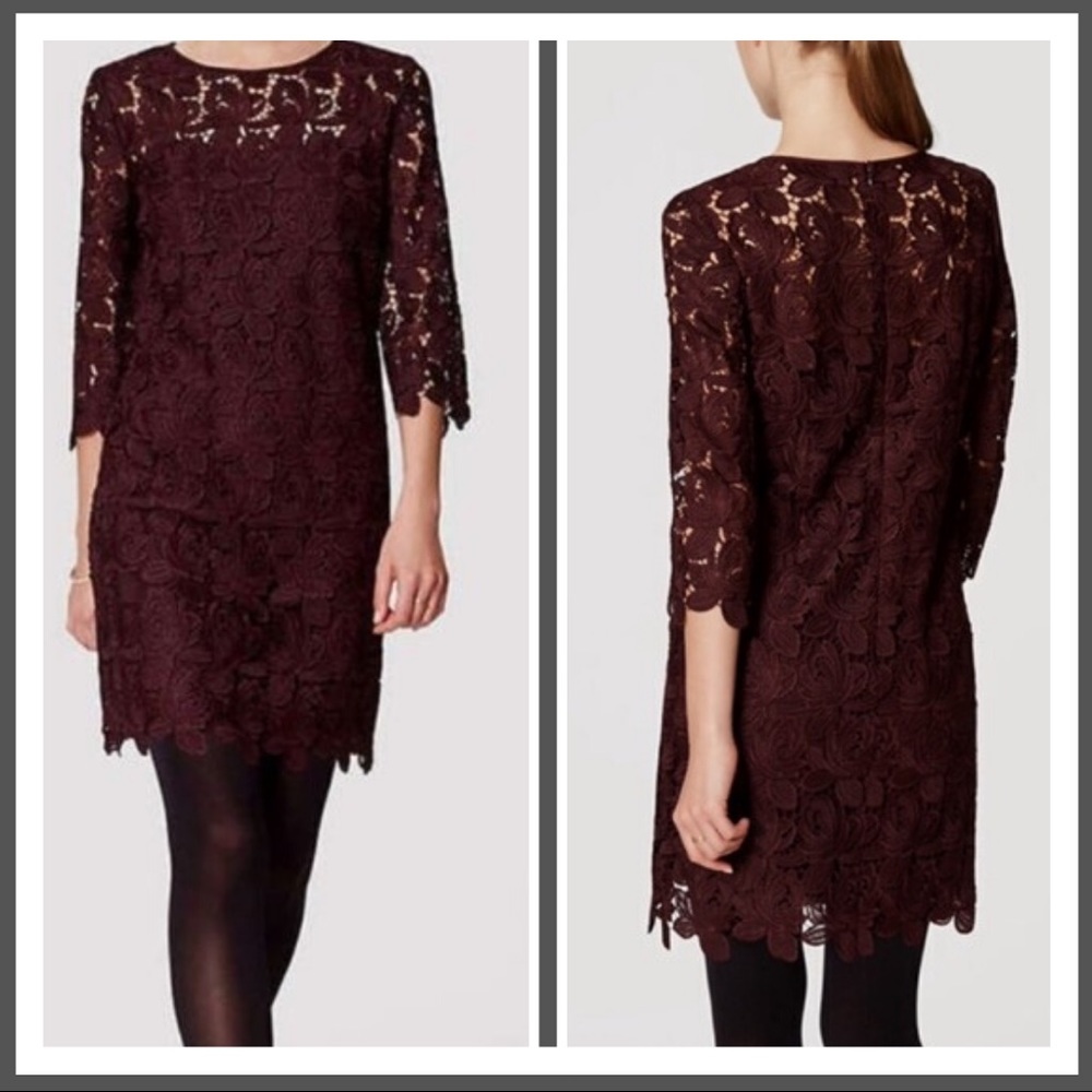 LOFT Floral Lace Petite Shift Dress 3/4 Sleeve NWOT